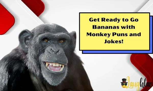 Monkey puns